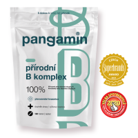 Pangamin prírodný B-komplex 120 tabliet