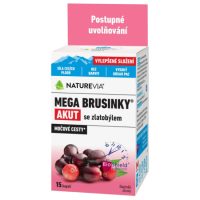 NATUREVIA Mega brusnice akut so zlatobyľou inov.2026 15 kapsúl