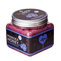 BIOSOTA ORGANICS Manuka med MGO 30+ s čučoriedkami 350g
