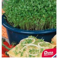 BIO – Žerucha siata