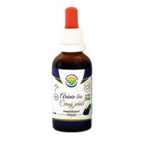 Salvia Paradise – Arónia (Jarabina čierna) BIO tinktúra bez alkoholu, 50 ml